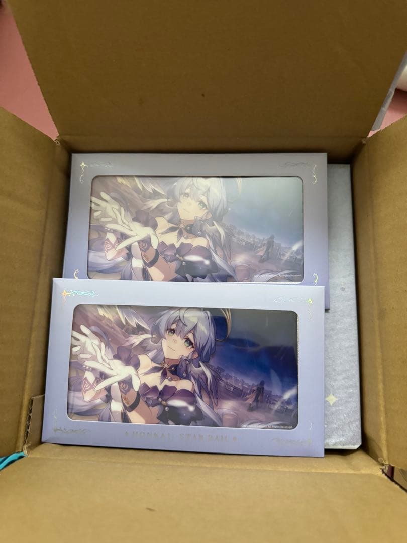 Honkai: Star Rail ロビン 2 サンデー1ねんどろいど