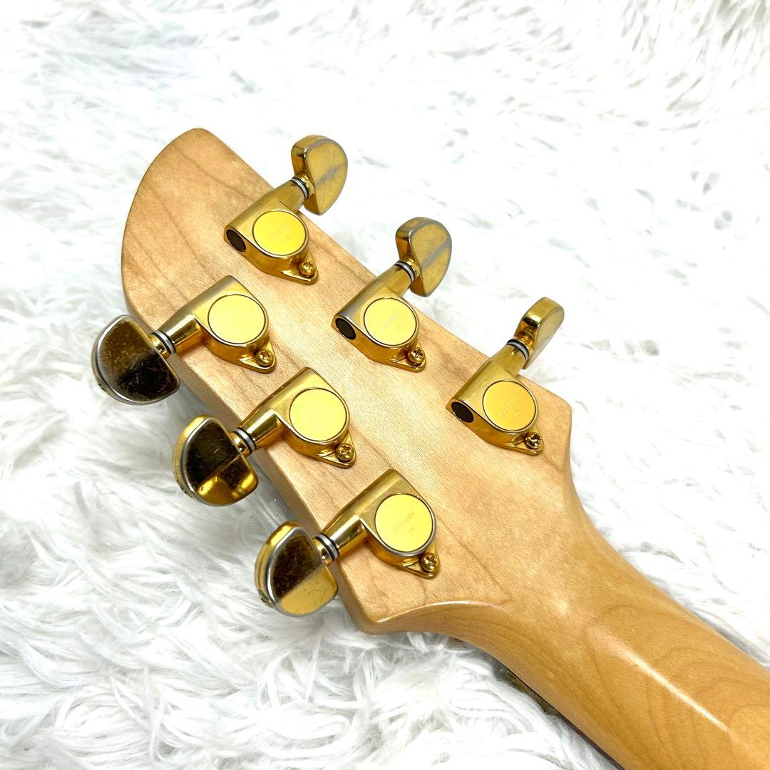 【希少】Fernandes APG-85S GLAY HISASHI愛用モデル