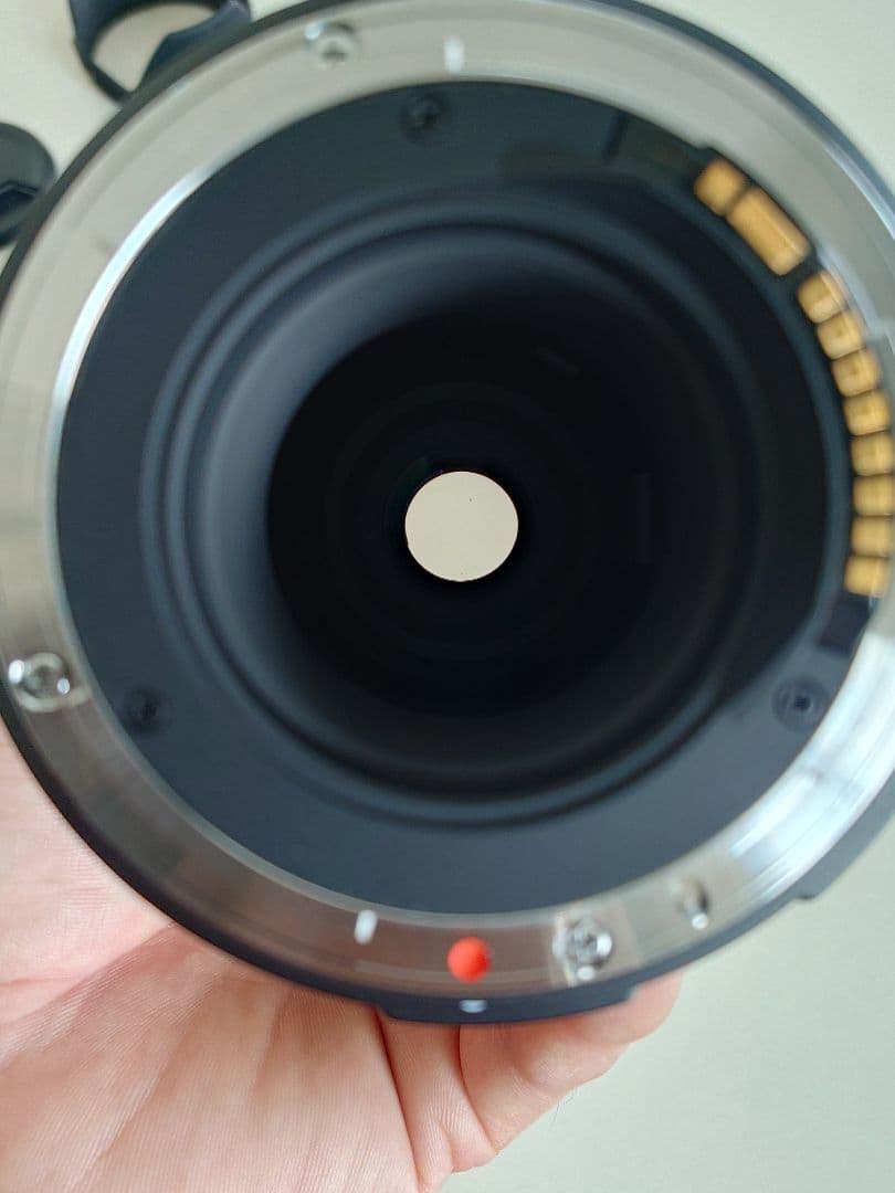 レンズ(ズーム) SIGMA 18-250mm F3.5-6.3 DC OS HSM Canon