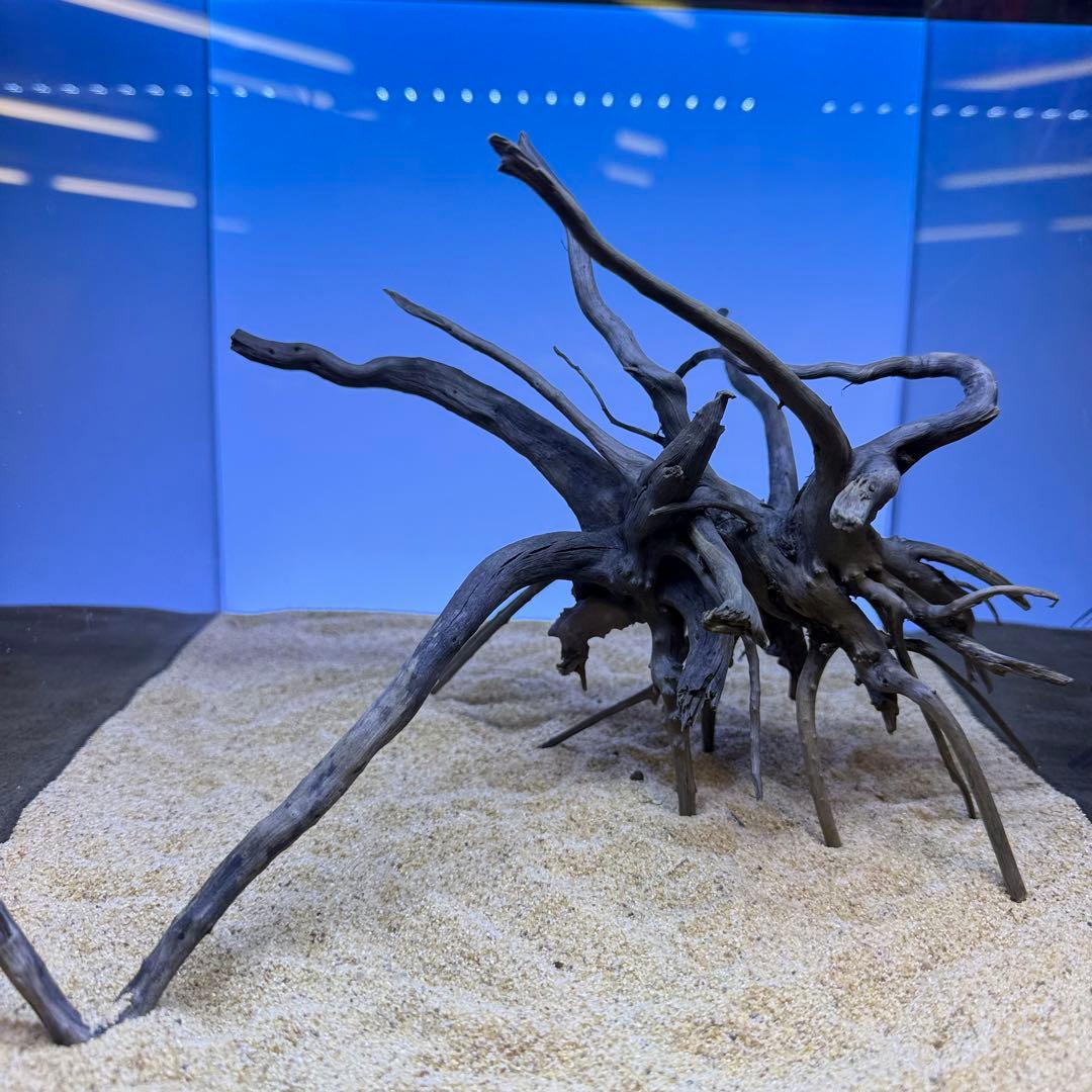 MDW-7219 ブランチウッド(ブラック)2本セット 枝流木 アクアリウム