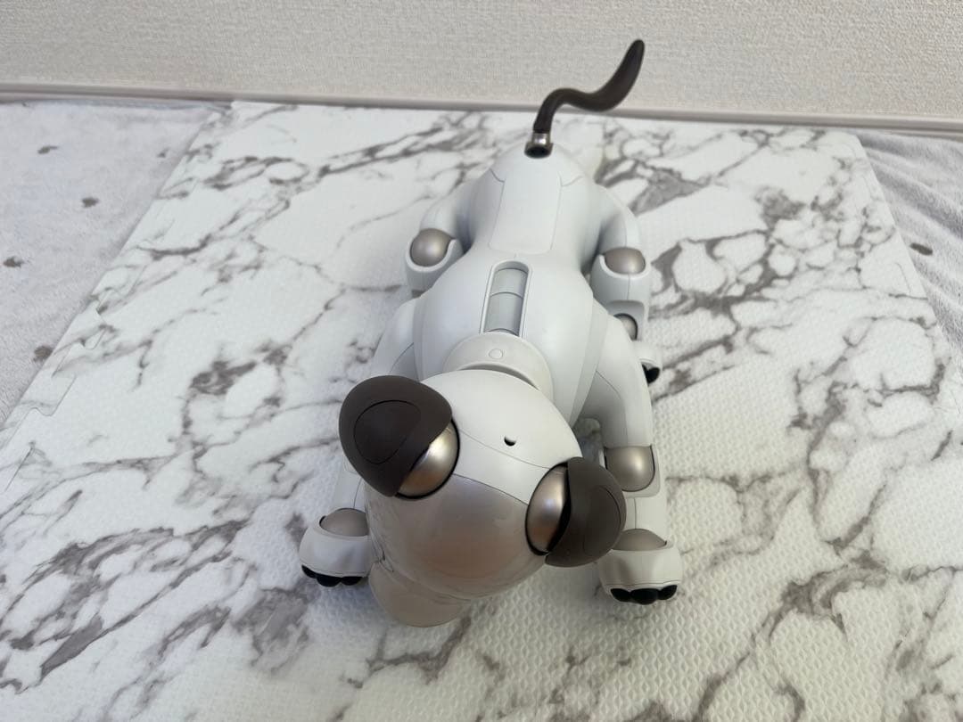SONY aibo （アイボ）ERS-1000