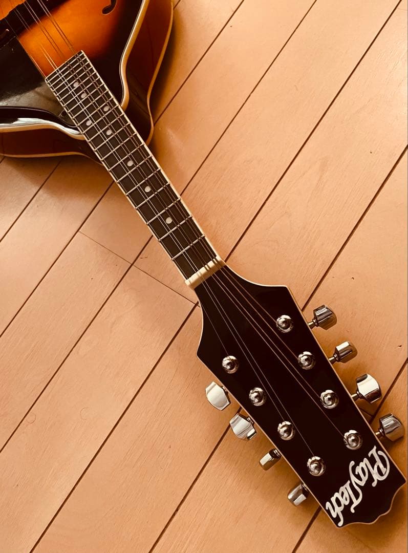 PLAYTECH フラットマンドリン 美品