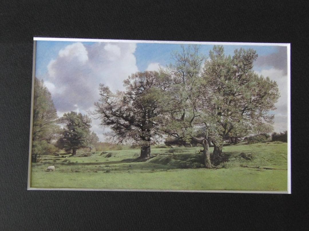 原雅幸、【Chiddingstoneの新緑】、希少な額装用画集より、新品額装付