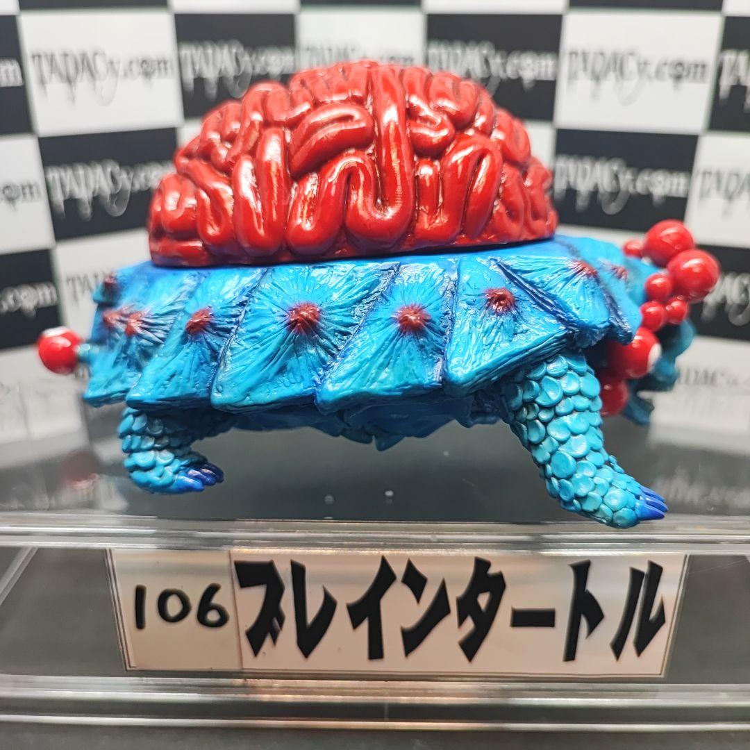 106ブレインタートル