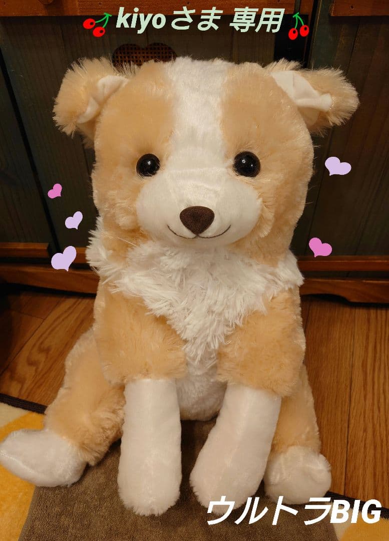 くったりボーダーコリー マロン ウルトラBIG くったりボーダーコリー マロン ウルトラBIG くったりボーダーコリー