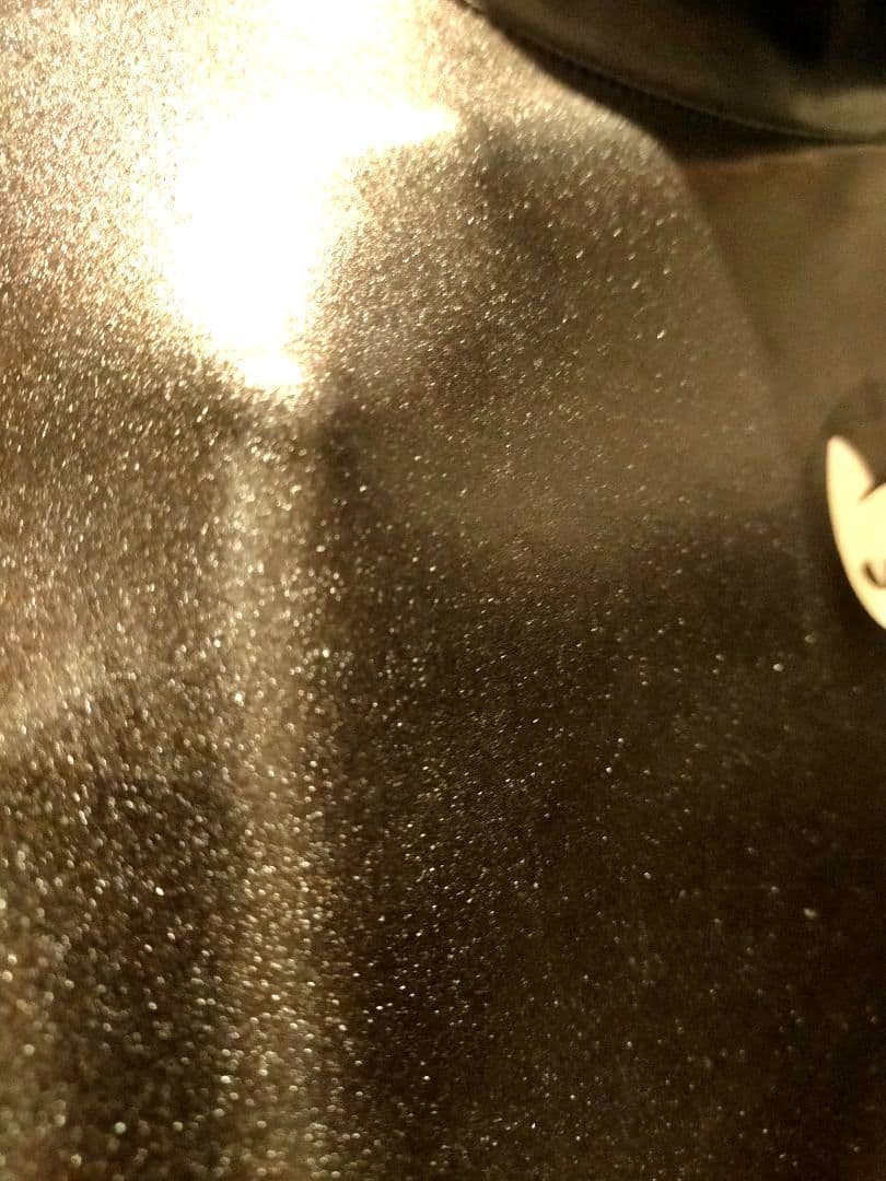 HIROGATO製■キャットスーツ　Ｌサイズ