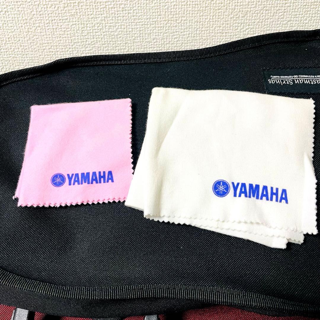 【ケース付属品付き】Eastmanバイオリン