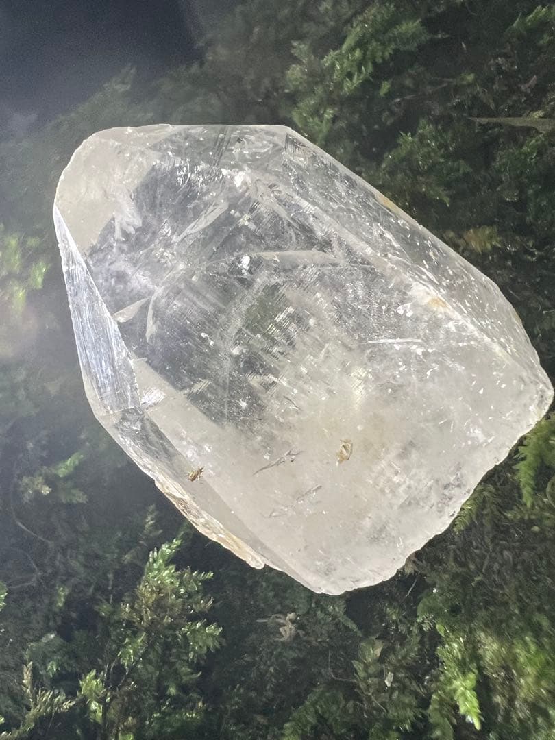 龍脈の精髄 クラスター 宮崎の山が授けた浄化と守護 売上一部