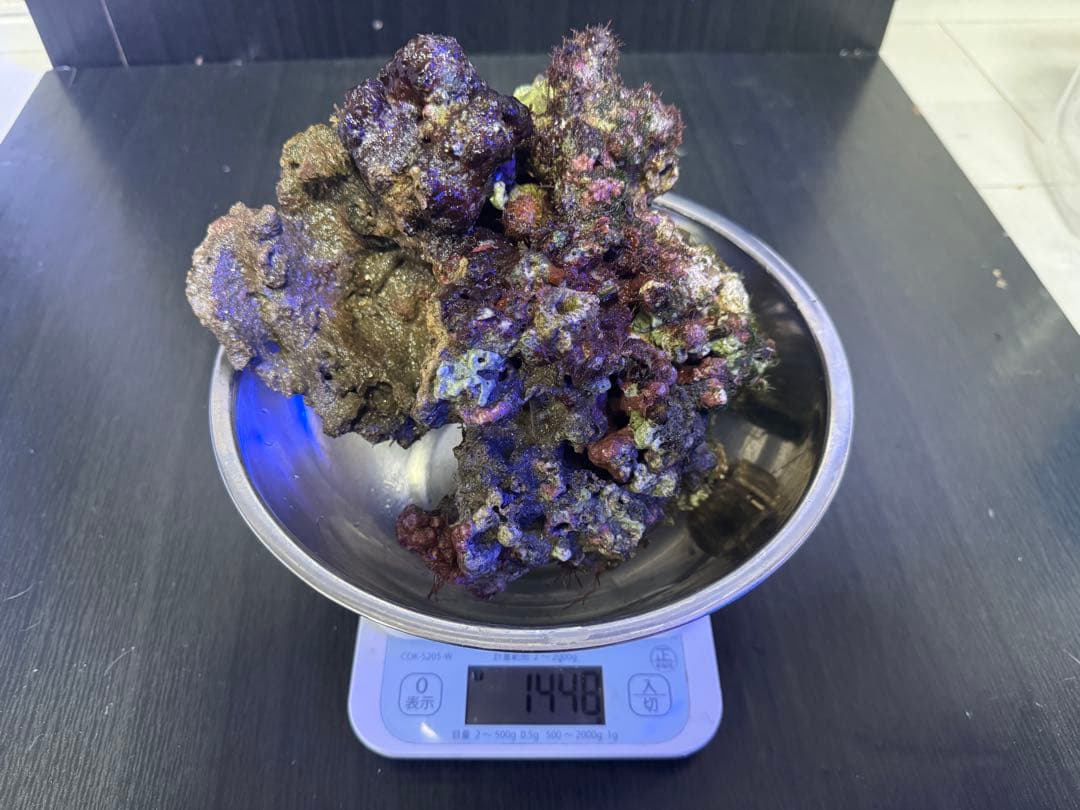 ナカジ 天然ライブロック 6.4kg (7個)