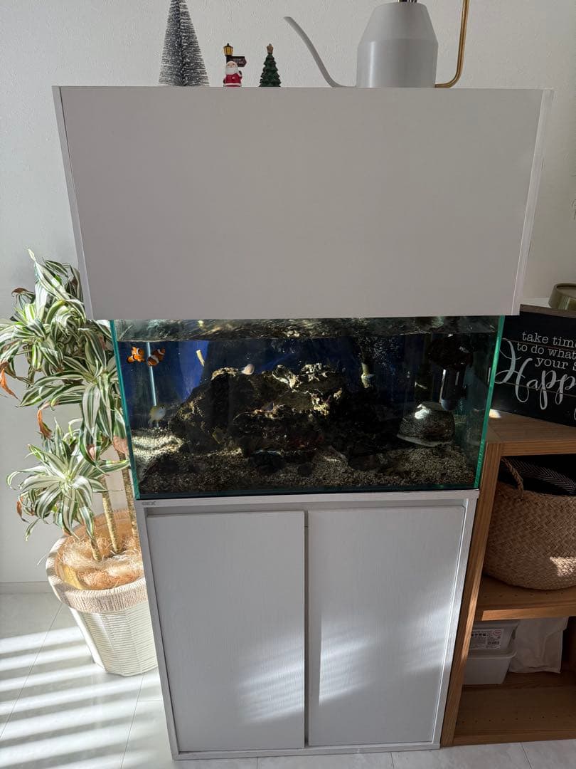 【値下げ】ガラス水槽 SET 1200ガラス水槽セット値下げ価格‼️