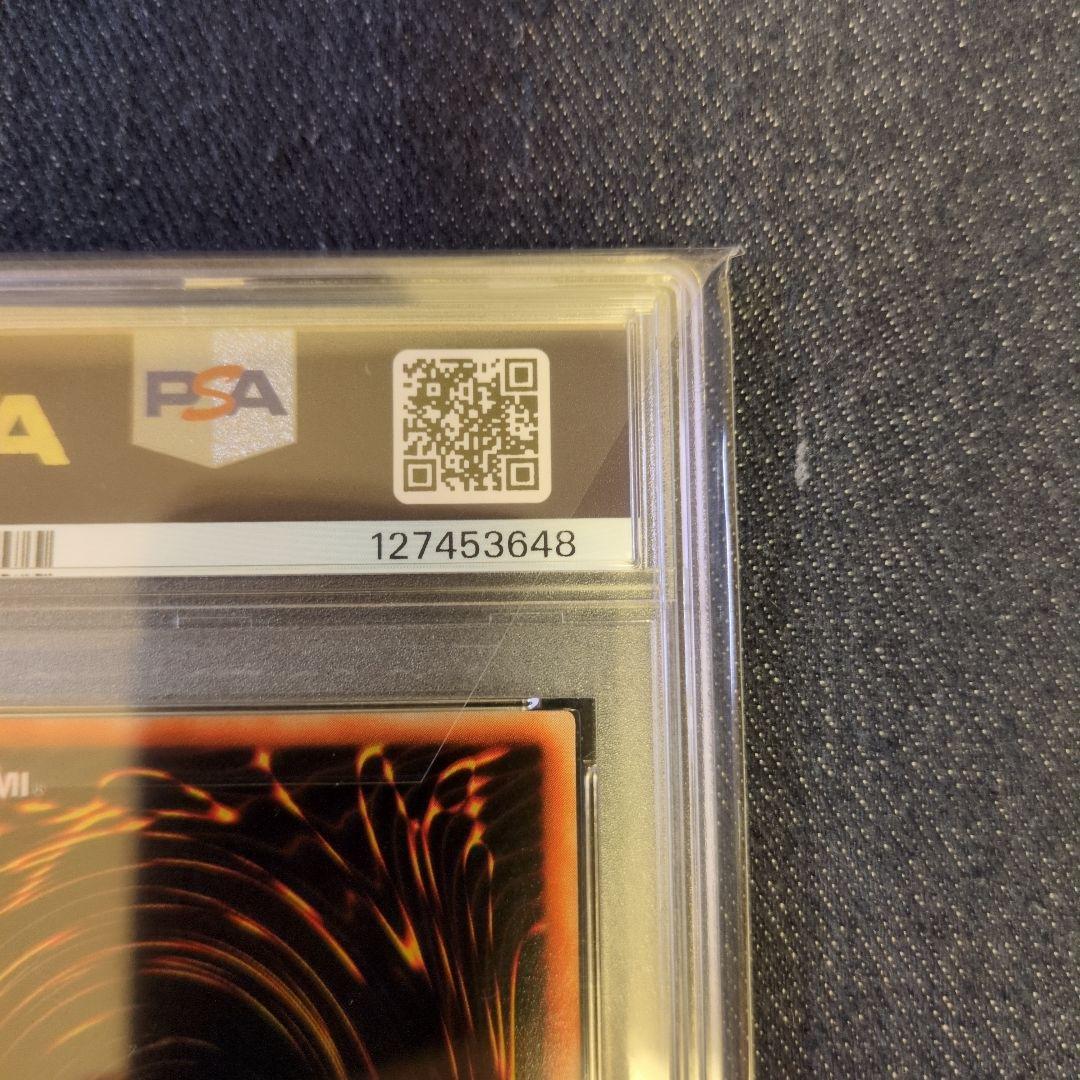 （PSA8）【匿名配送】WCS-EN403　千年原人