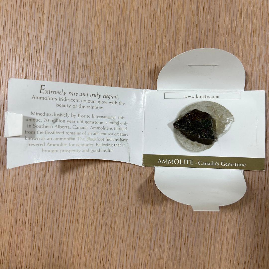 KORITE アンモライト原石片