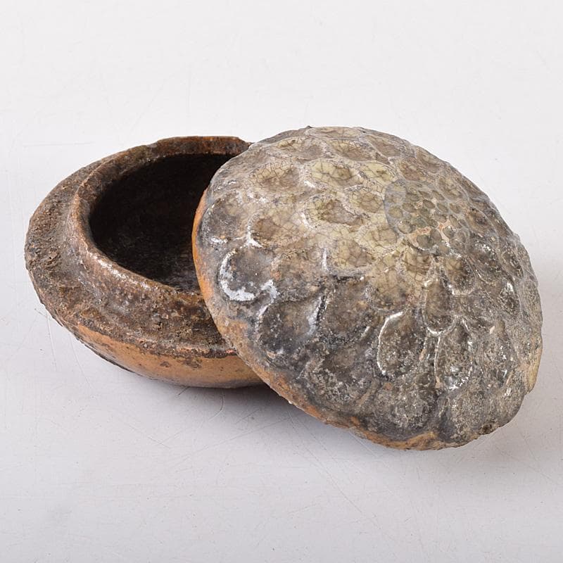 茶道具　大樋焼　菊形　香合　時代箱　N　7468