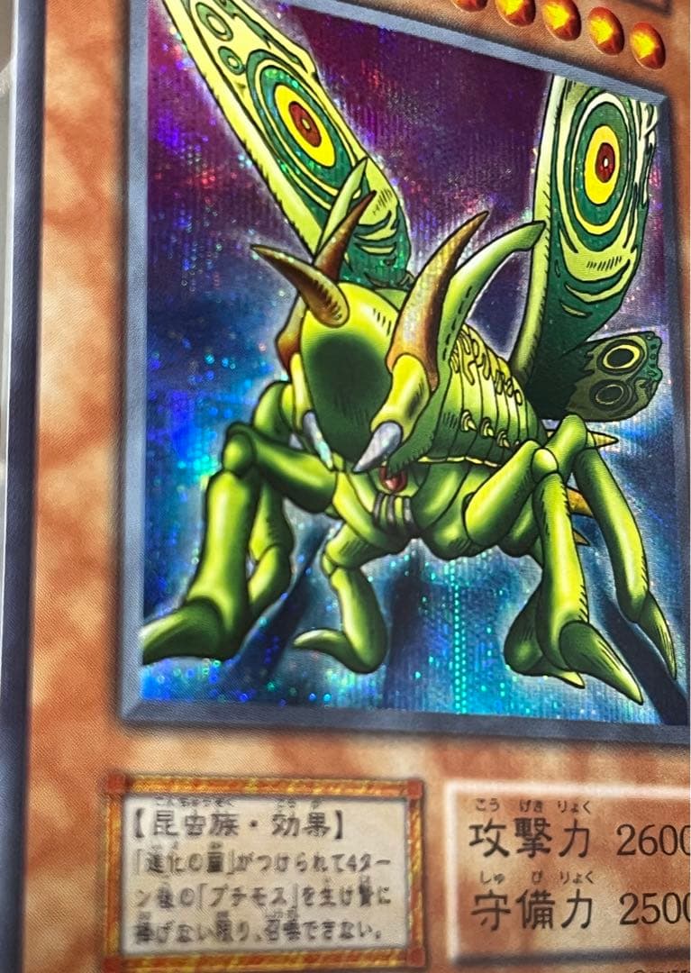 遊戯王 グレート・モス 初期