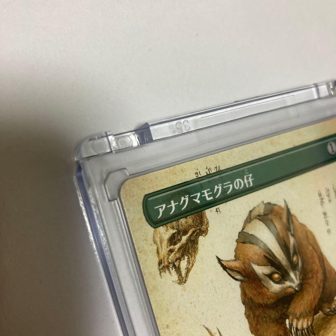 MTG アナグマモグラの仔/Badgermole Cub ボーダーレス TLA - メルカリ