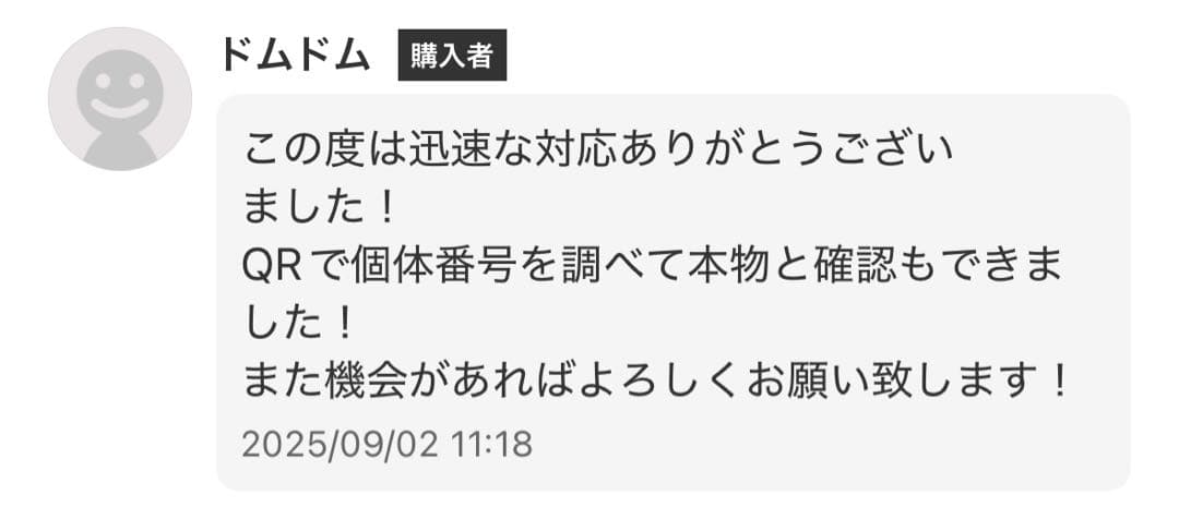 THE MONSTERS Labubu Big into Energy アソート