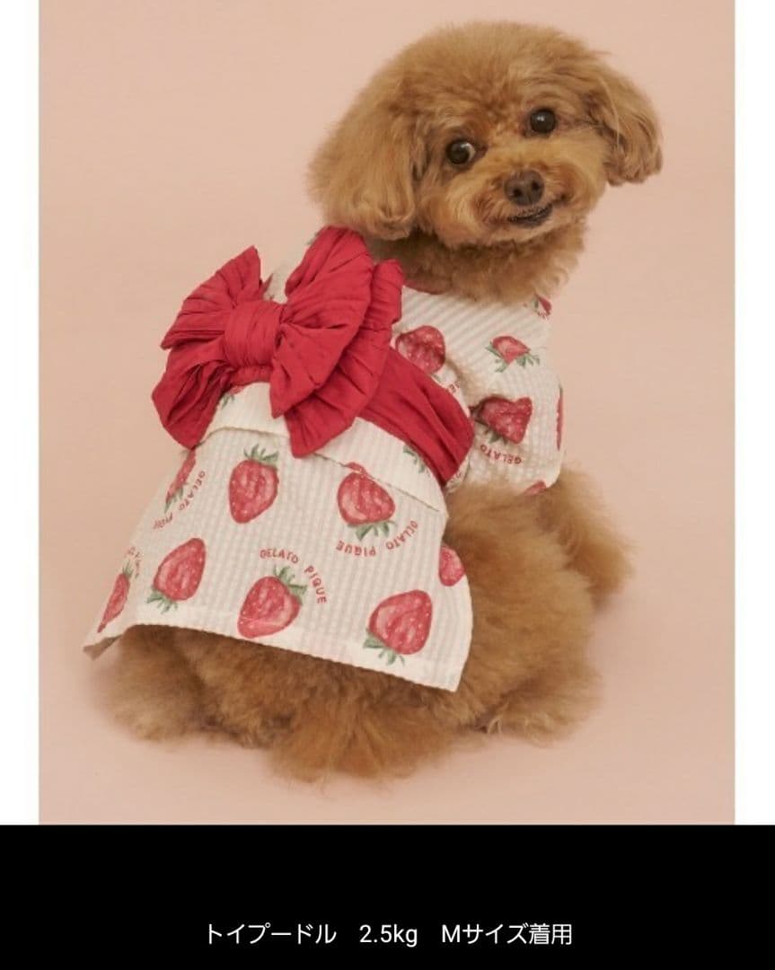 ジェラピケ 浴衣 苺 くま CAT&DOG リメイク済 2着セット 犬 猫 撮影