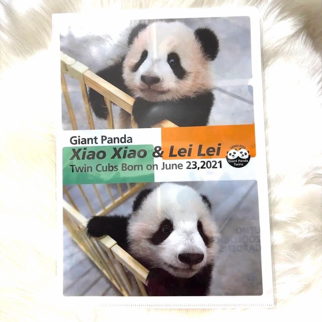 上野動物園 シャオシャオレイレイ クリアファイル - メルカリ