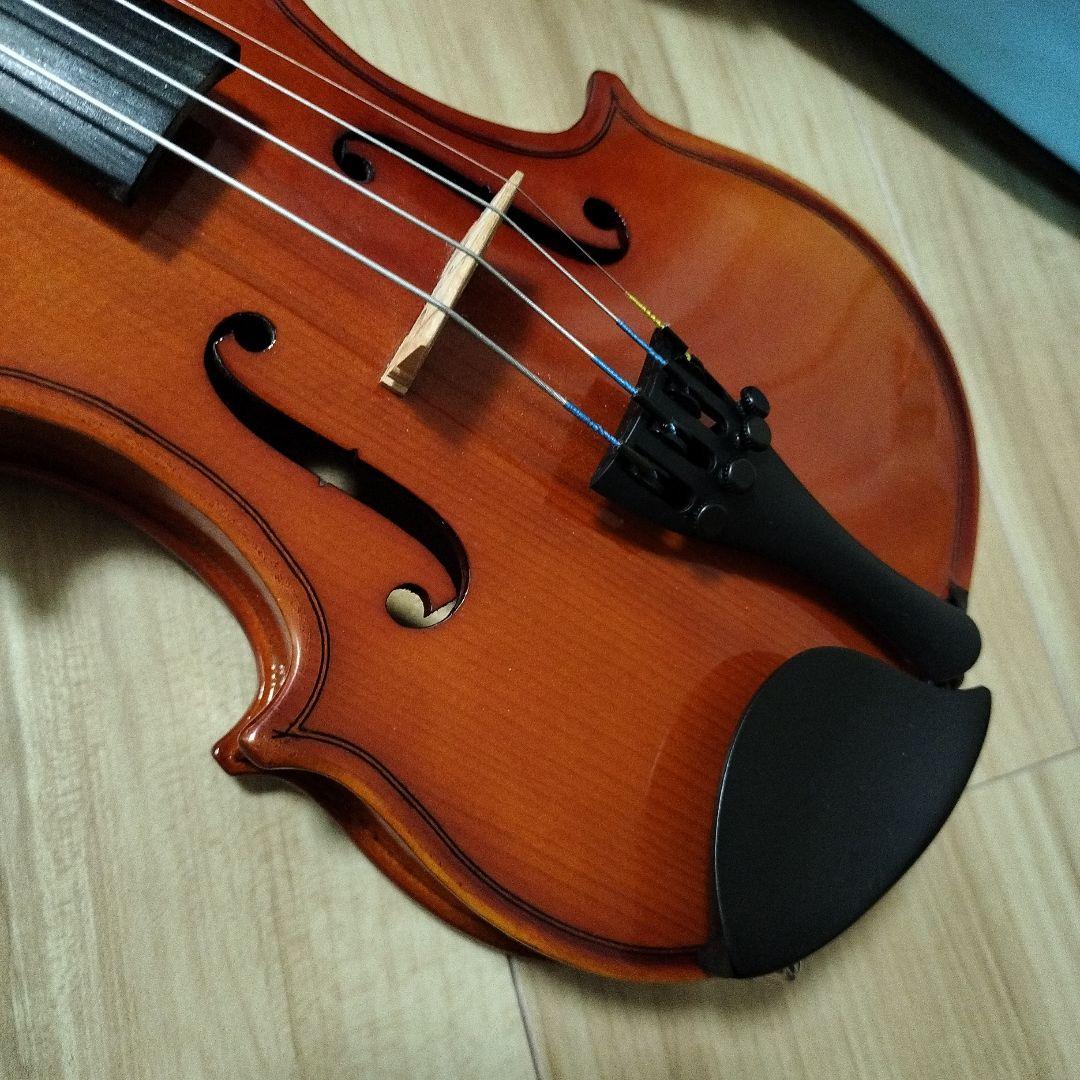 【小物付き】カルロジョルダーノ バイオリン VS-1C 1/8 みずいろケース