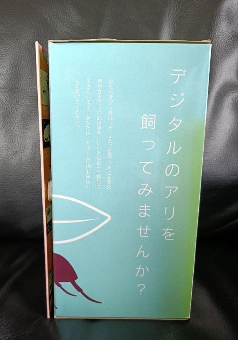 アンツ ライフ スタジオ ant's life studio