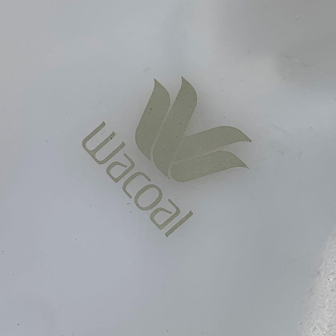 ワコール　マネキン　ランジェリー　下着