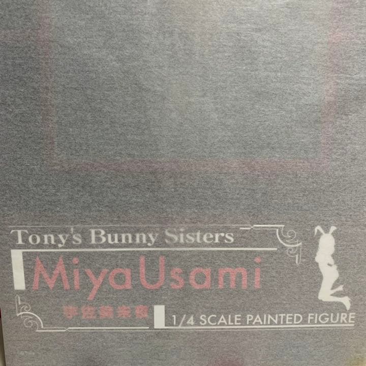 新品 フリーイング FREEing B-STYLE 宇佐美未夜 1/4フィギュア - メルカリ