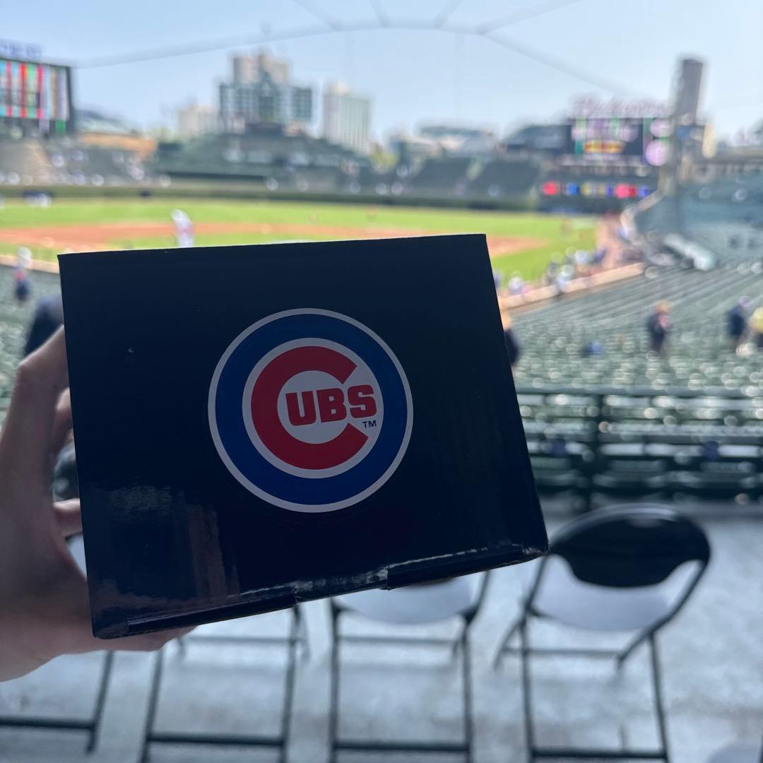 祝地区シリーズ進出】カブス 今永ボブルヘッド&トートバッグ 非売品