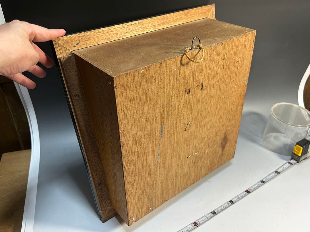 ヤシガニ 剥製 木製フレーム付き 約35cm 昭和 標本 - メルカリ