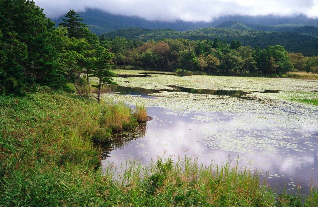 OLYMPUS 35 RC 製備品、テスト撮影済 170019