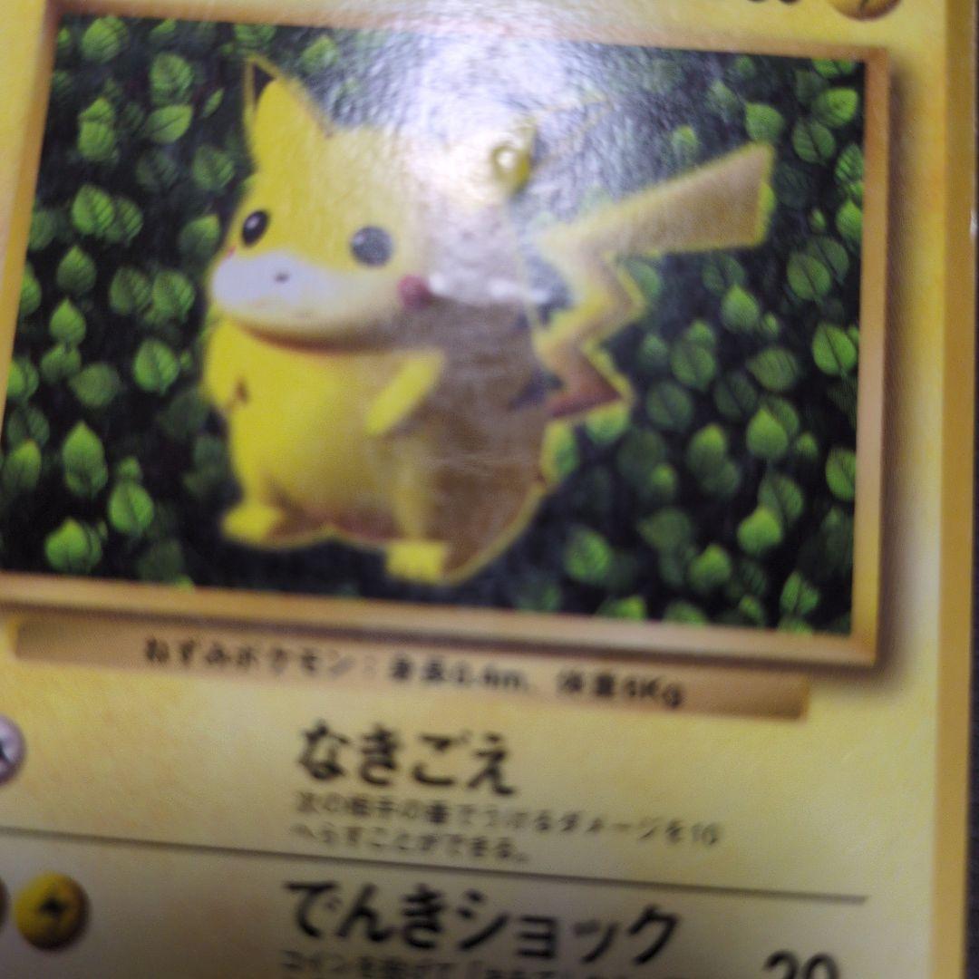 旧裏　　ピカチュウ　誤表記　ken sugimori　ポケモンカード