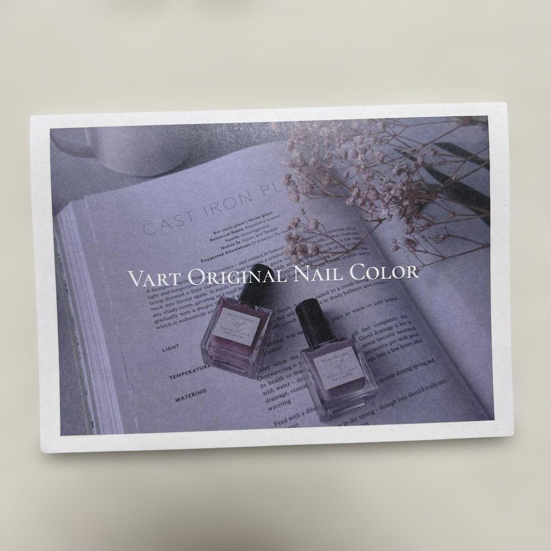 終了ブランド】vartネイルカラー_19本セット＋ブランドリーフレット