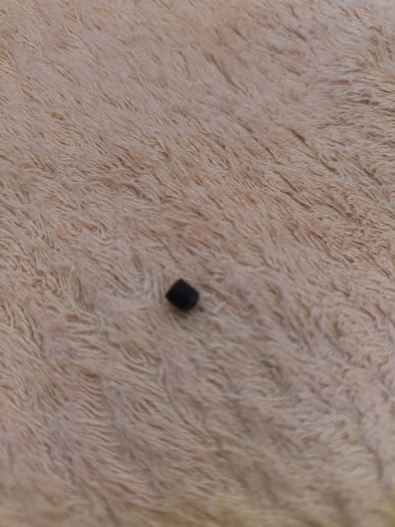 ギター Fender made in Japan Mustang