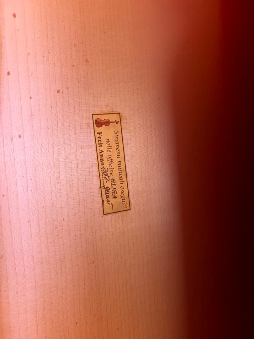 Gliga gems チェロ　4/4 2012年製 、ケース・弓・ブラックホール