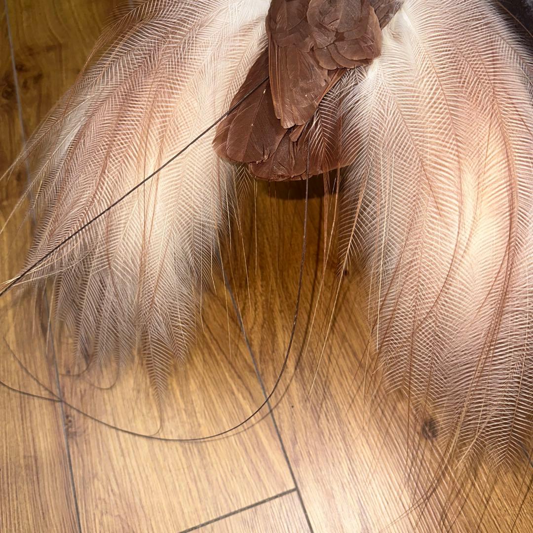 パリ鳥オブジェ 台座付アンティークビンテージ bird of paradise