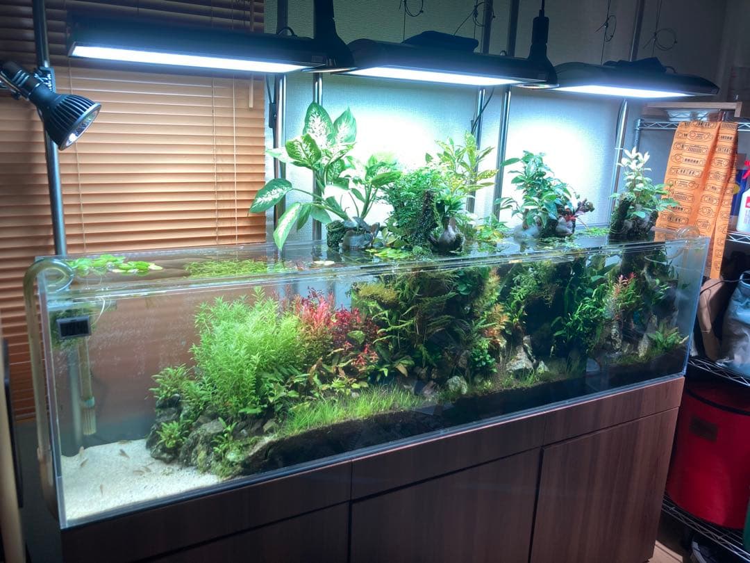 ひわ様専用 大型アクリル水槽 横1800x高さ450x奥行き300mm 水槽のみ