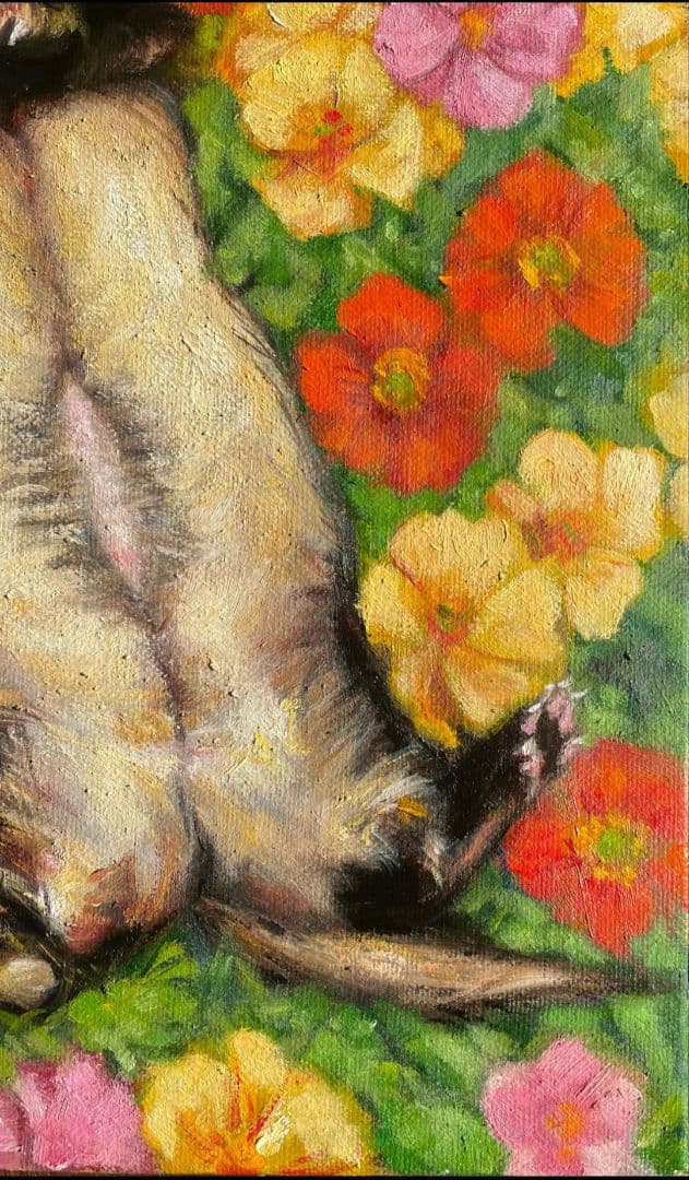 スーパーMP (プロフ読んでちょ)専用ページ