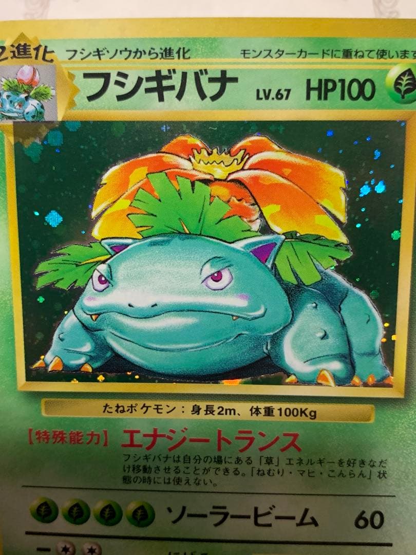 ポケモンカード 初期 フシギバナ キラ No.003 旧裏面 当時物 希少