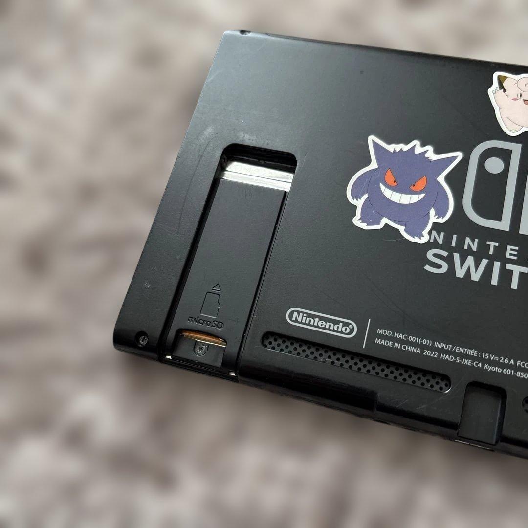 Switch 本体 +PROコン＋ACアダプタ+ドッグ+セット ⚠️要確認