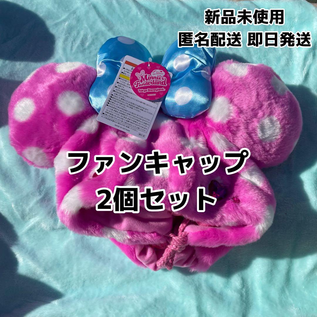 ディズニーパルパルーザ ミニーのファンダーランド ファンキャップ 2個