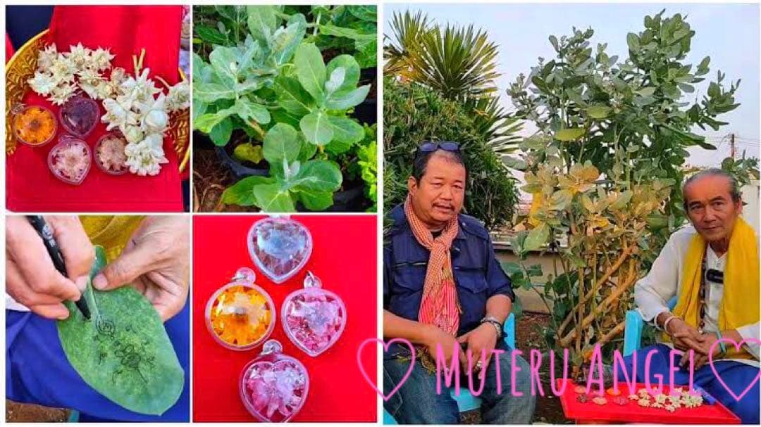 愛の花♡ ドークラックソーン プラクルアン 赤 ハート - メルカリ