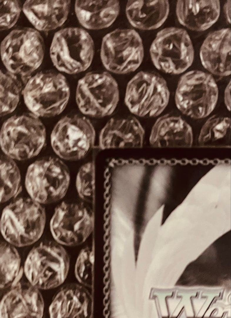 ヴァイスシュヴァルツ SP メメントモリの美少女 東城つかさ