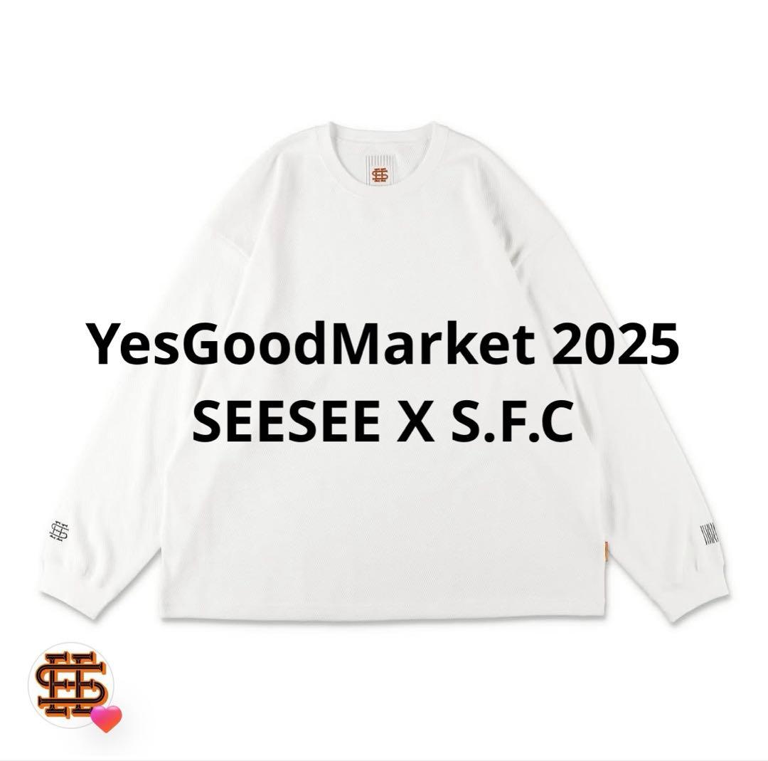 爬虫類ケージ 75×35×35 付木無し 配線穴①+キャップ 天板固定