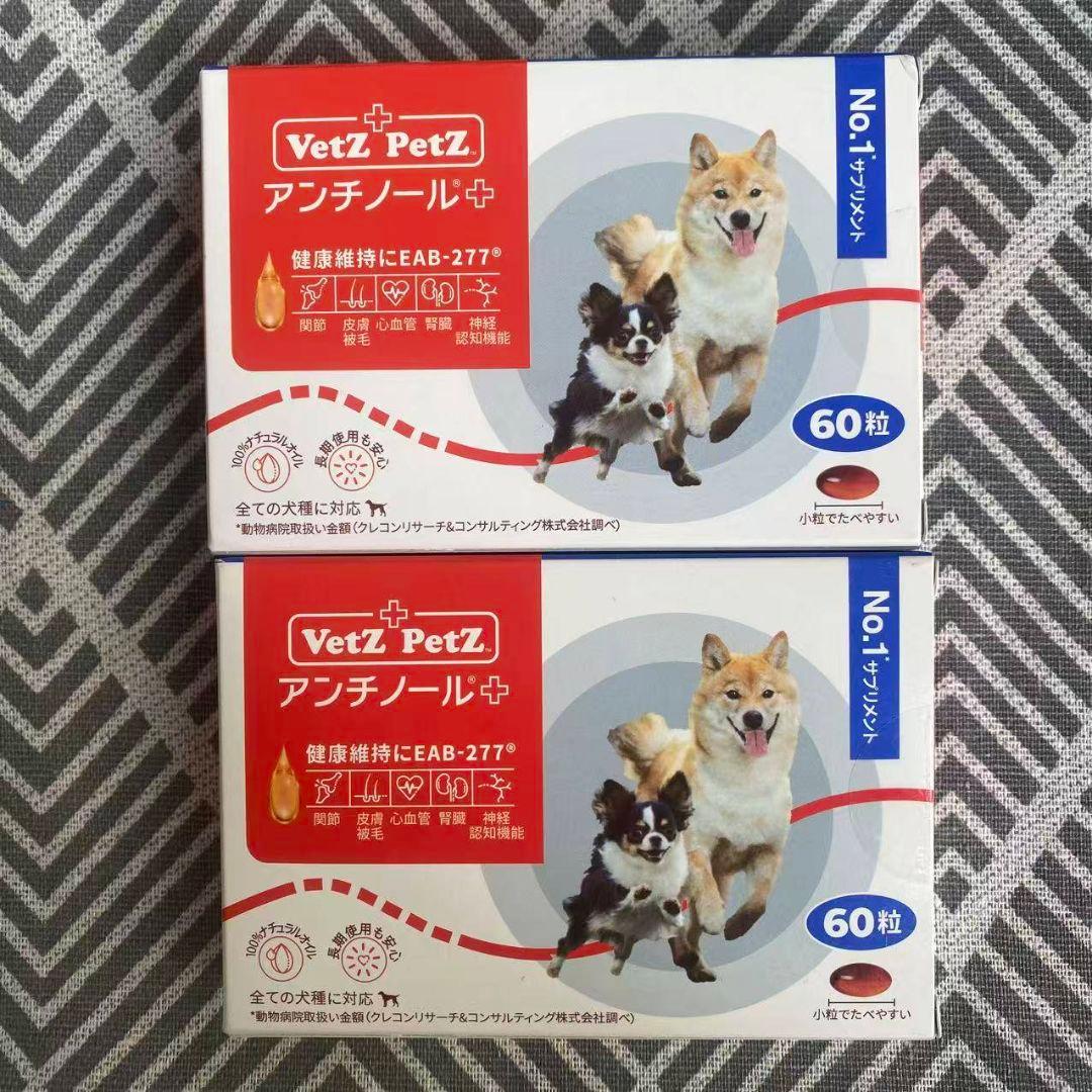 犬用]Vetz Petz アンチノール 新品60粒×2箱 - メルカリ
