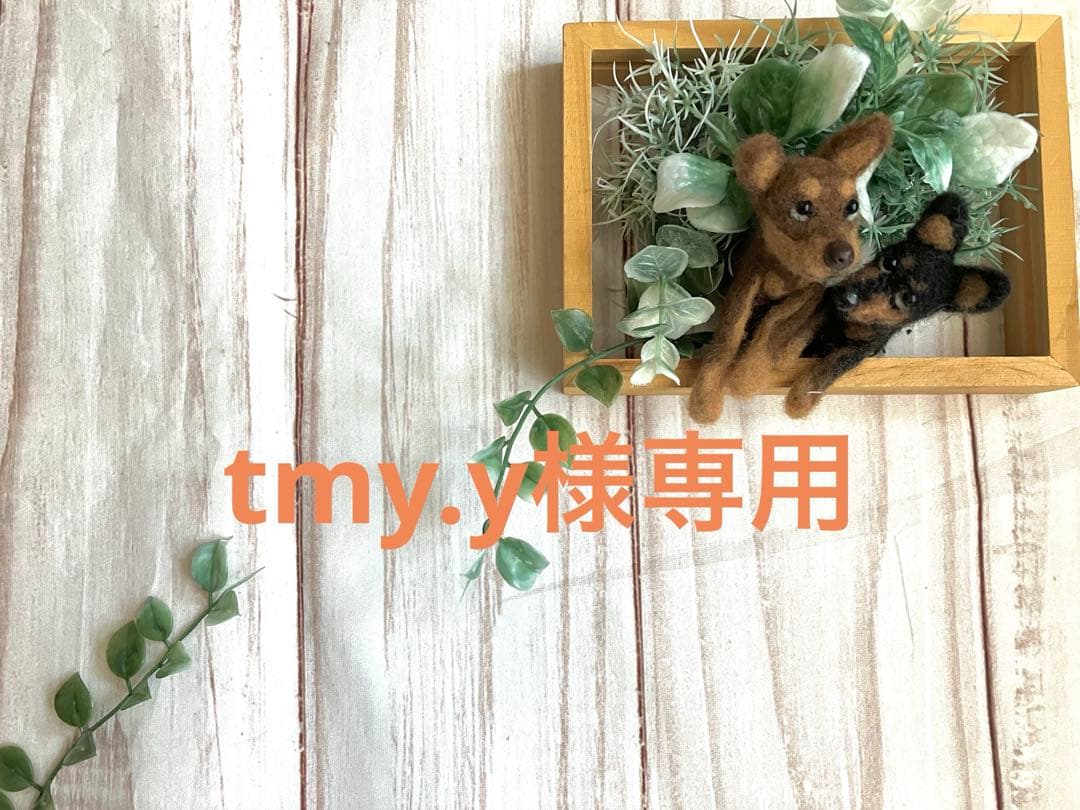 犬服・アクセサリー tmy.y クリフメイヤー[公式] もちのびT(ロゴ) DOG D2515606 | DOG ドッグ,T