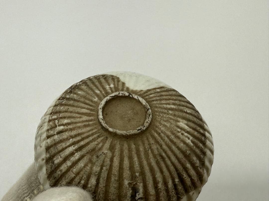 江戸時代　紅皿　貝型　白磁② 古民具　送料込み251012