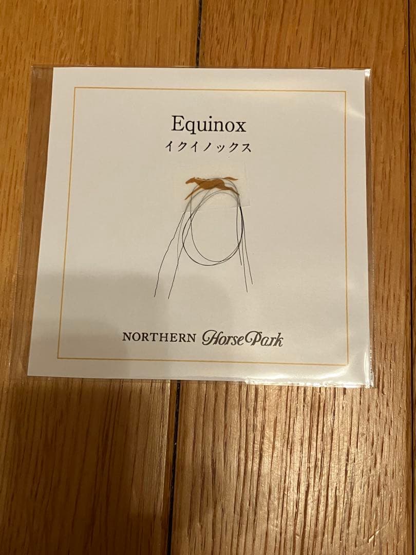 イクイノックス　2021メイクデビュー　ルメール騎手直筆サイン　たてがみ　鬣