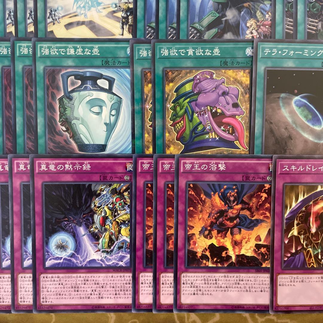 大会構築 命削り真竜デッキ 真竜剣皇マスターP ドラゴニックD 真竜の継承