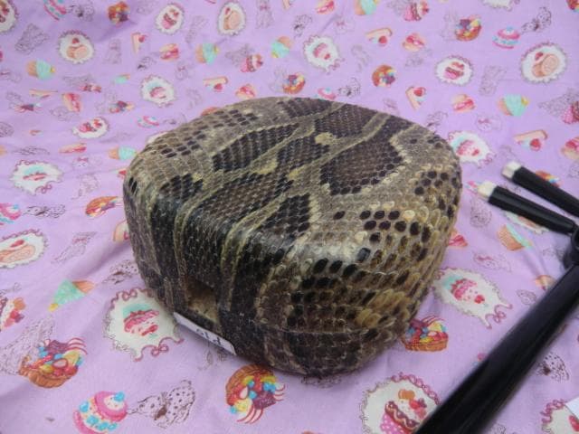 P10現品販売(送料無料)25.980円　沖縄三線　蛇皮強化張組み立てキット