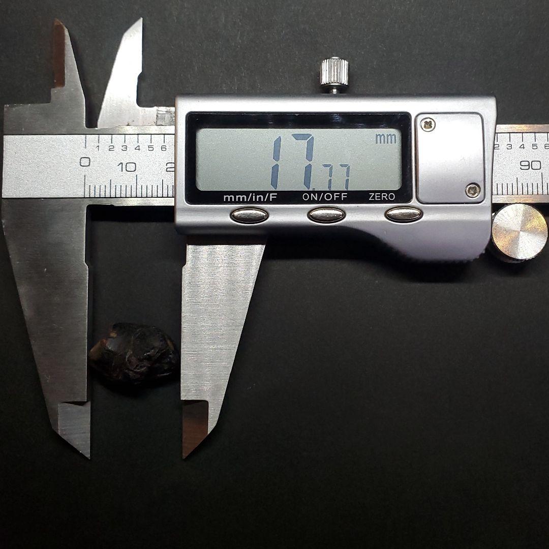 希少 イグアノドン 恐竜 歯 化石 イギリス諸島産 17.77mm fr63