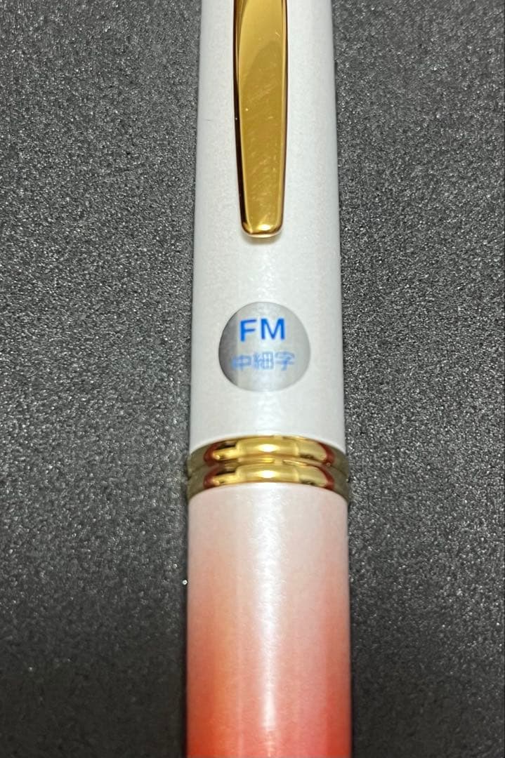 新品‼️完売❗️「NIPPOONIA」オエステ会限定万年筆　レア 早い者勝ち